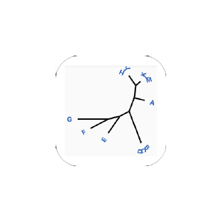 Phylogenetic Tree Draw