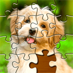 free jigsaw puzzles for pc