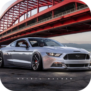 Ford Mustang Wallpaper HD HomePage