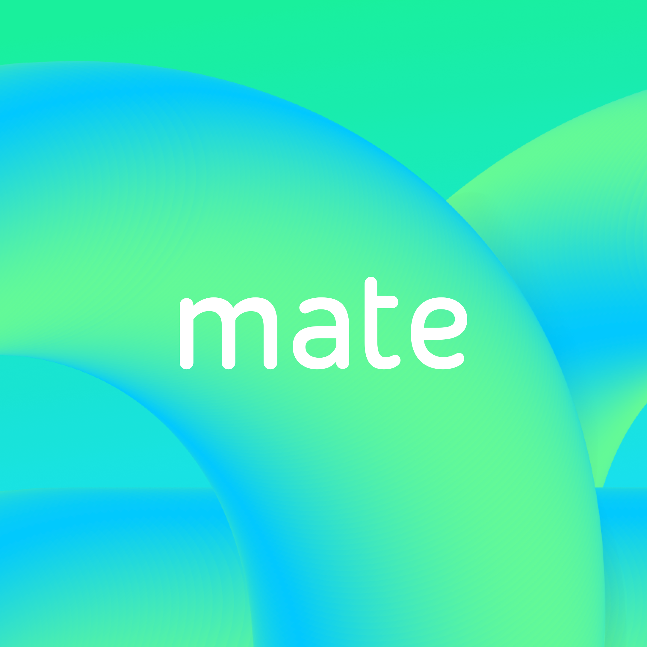 Mate Translate - translator, dictionary