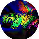 Butterfly Wallpaper New Tab icon