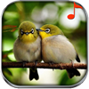 Nature Sounds Ringtones Free