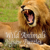 Wild Animal Jigsaw Puzzles Classic Animal Puzzles