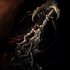 Armatus