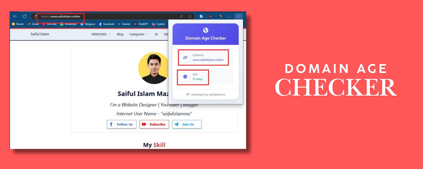 Domain Age Checker