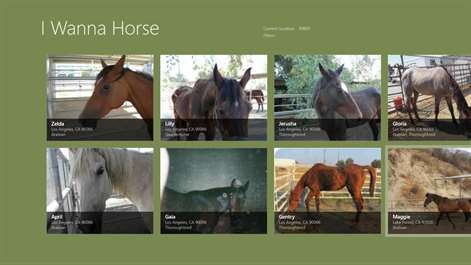 I Wanna Horse Screenshots 1