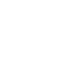 JazlerShow Lite
