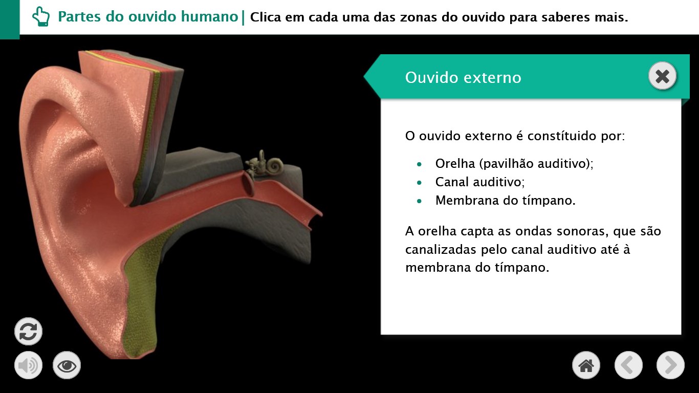 Conteúdo multimédia - Modelo 3D do ouvido