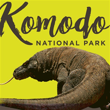 Komodo Dragon : Dragon Games – Apps no Google Play