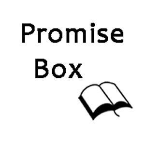 Box Promise
