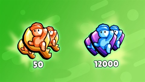 Lot de Clés de capacité et de Jetons