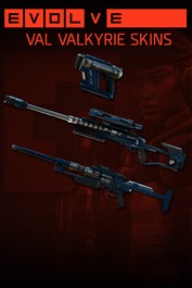 VAL 발키리 스킨