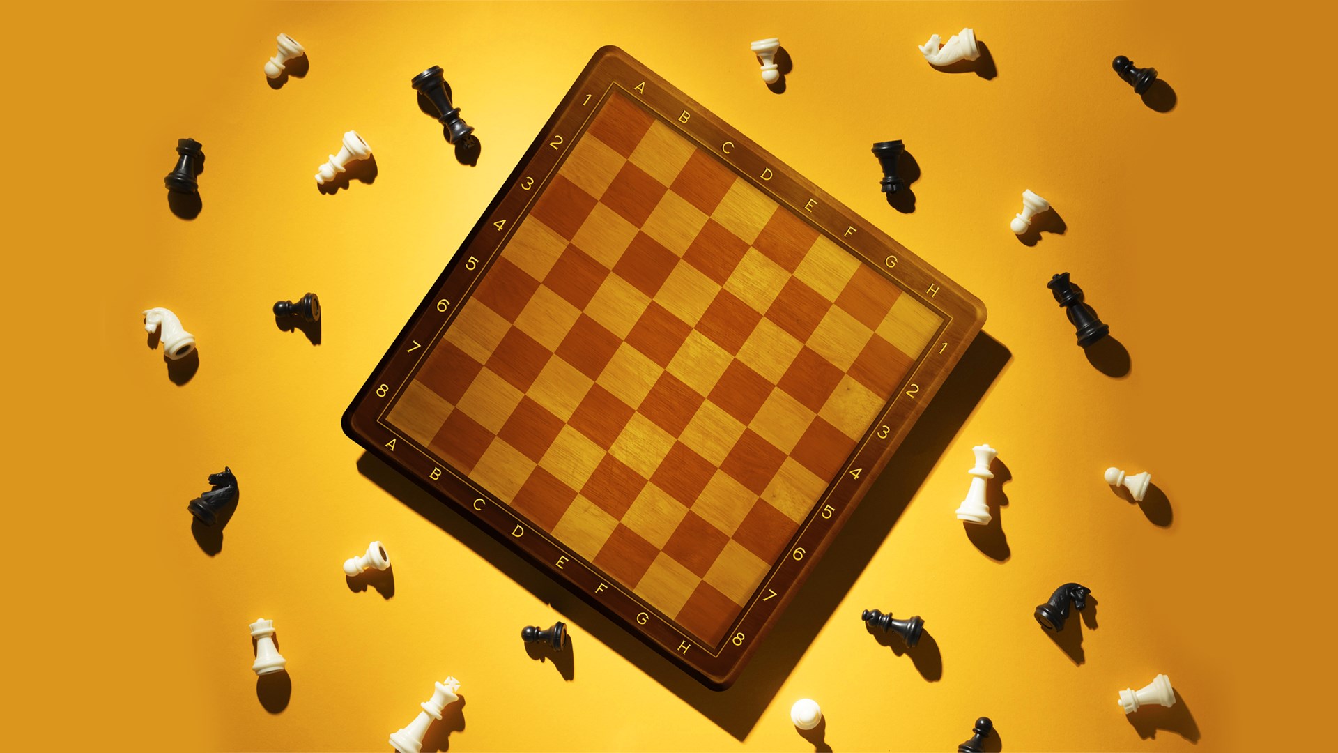 Feb. 10, 1996: Checkmate!