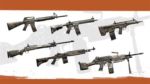 Insurgency: Sandstorm - Endurance Weapon Skin Set