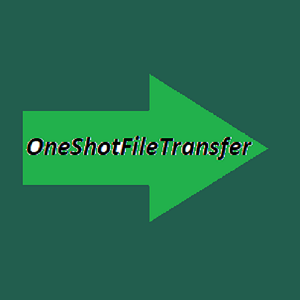 OneShotFile