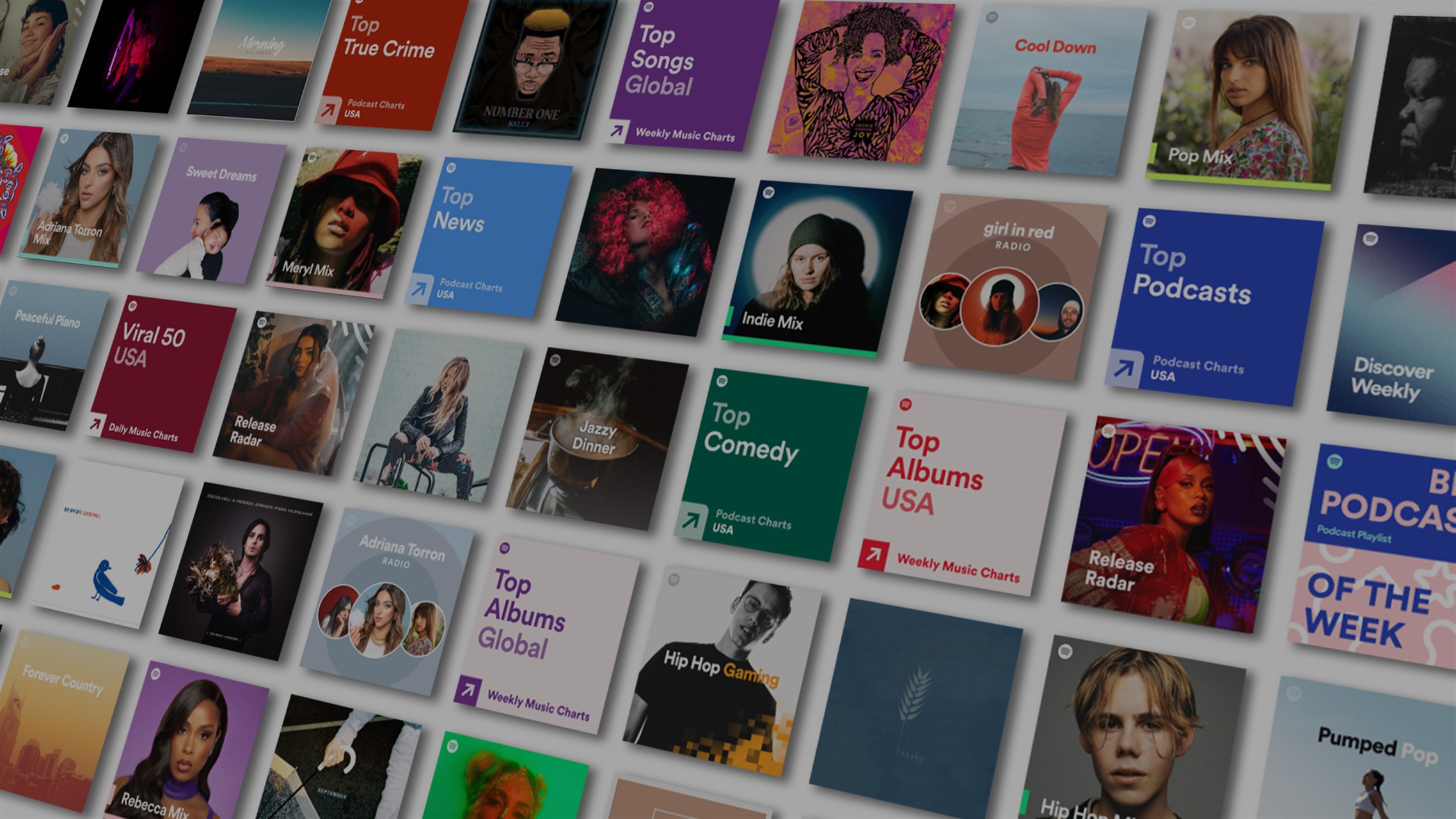 Spotify Premium Interface 1