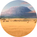 Madagascar Country Wallpaper New Tab icon