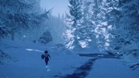 screenshot6
