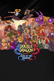 Double Dragon Gaiden: Rise of the Dragons