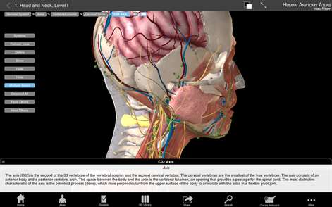 Buy Human Anatomy Atlas - 3D Anatomical Model of the Human ...