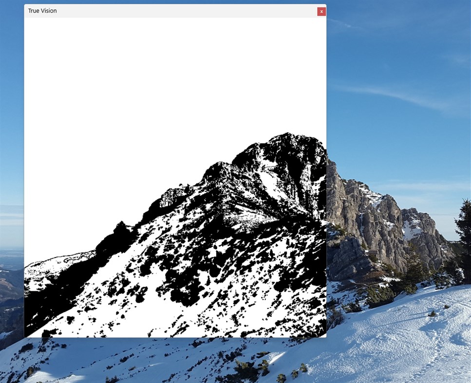 #7. True Vision (Windows) By: Zunna Berry