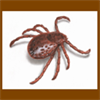 Tick Bite Report Mobile