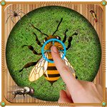 Real Insects Smasher 3D