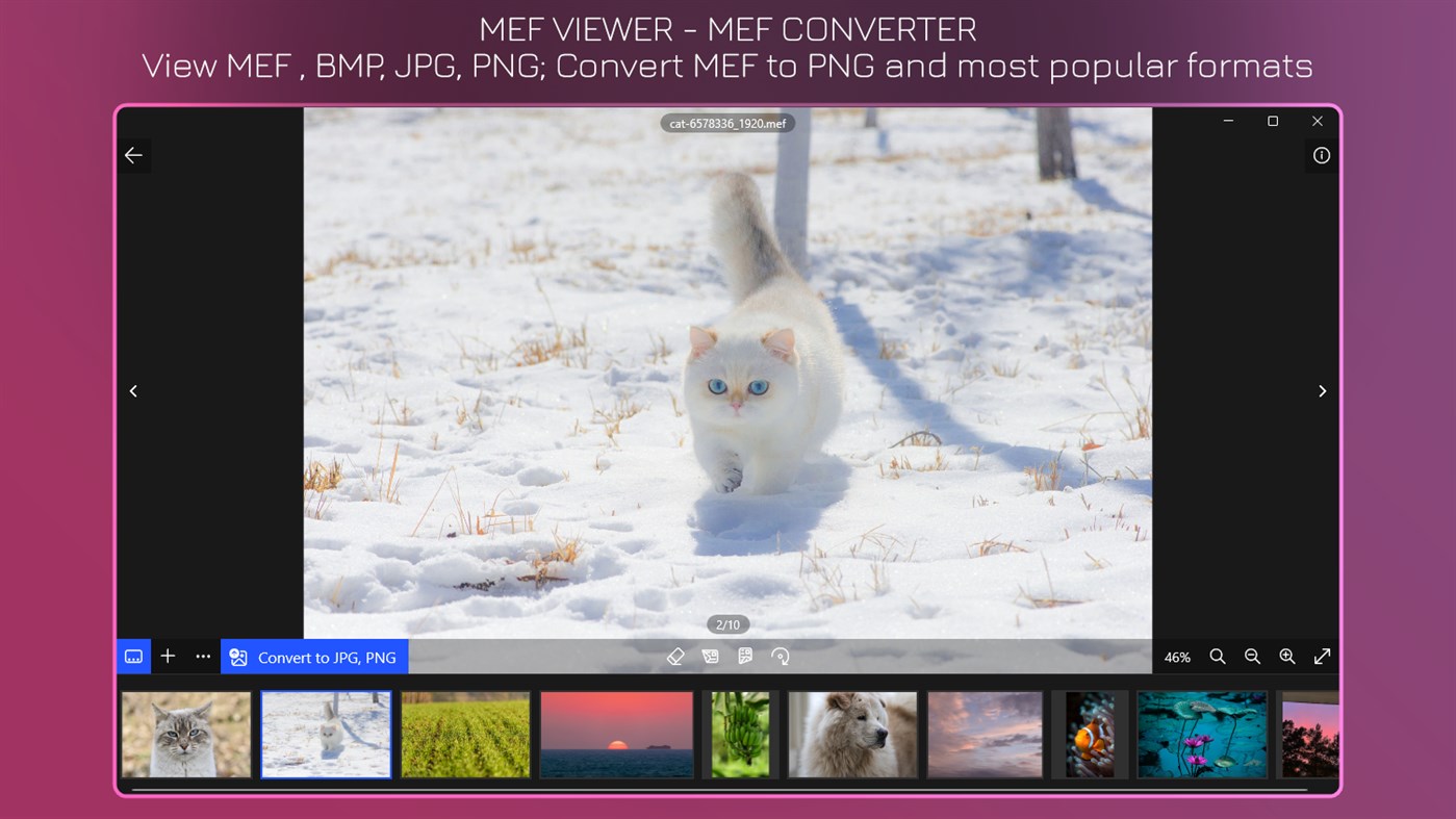 #1. MEF Viewer+ - MEF to JPG (Windows) 由: IO Vision