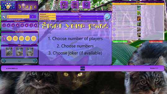 Mystic Cats Bingo screenshot 4