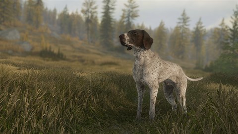 theHunter: Call of the Wild™ - German Shorthaired Pointer - Windows10