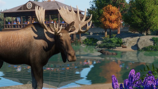 Planet Zoo: North America & Europe Bundle screenshot 4