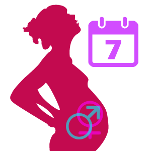 Pregnancy Calendar PRO