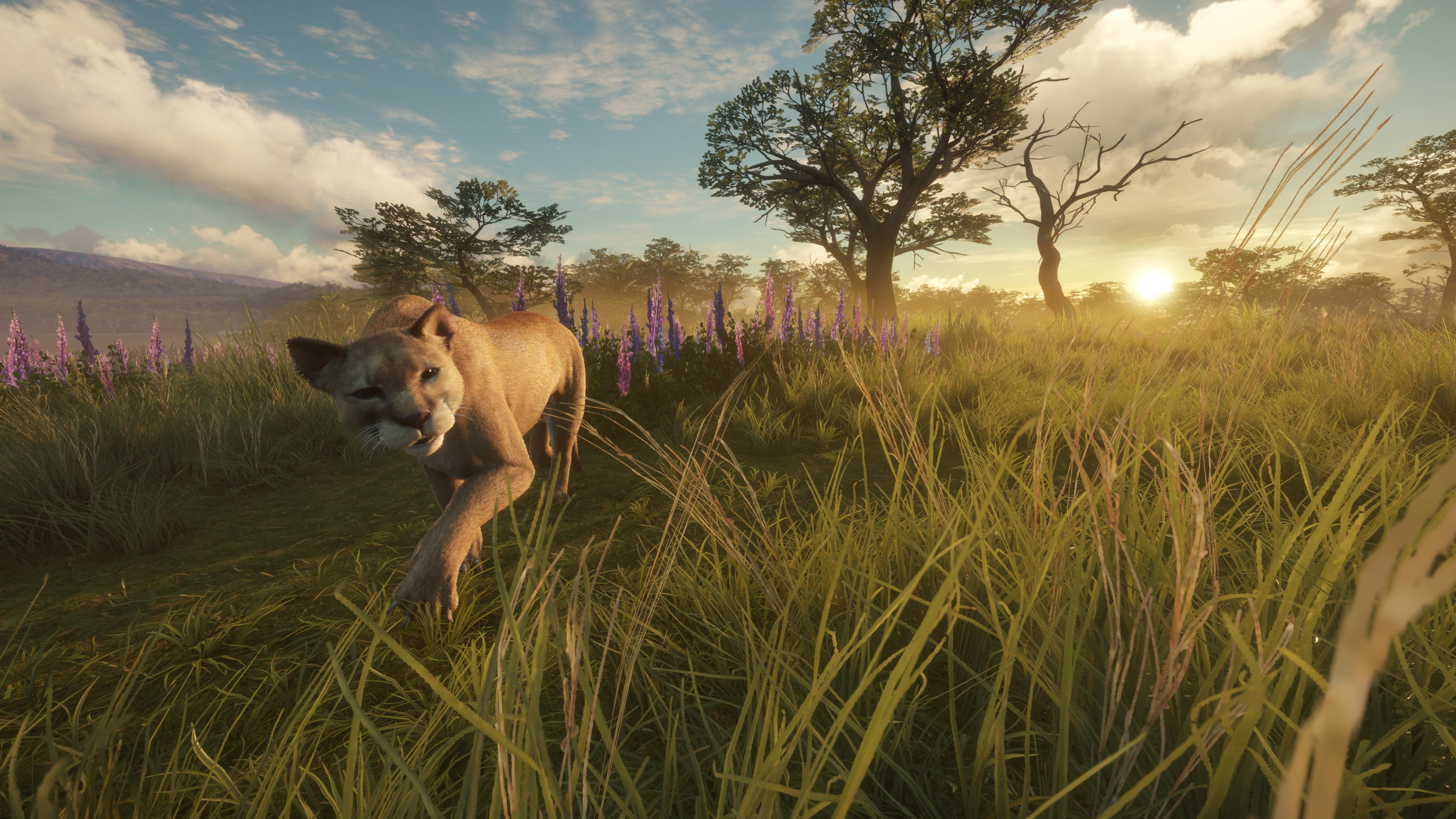 theHunter: Call of the Wild™ - Parque Fernando - Windows 10 | Xbox | Chiave | Privato