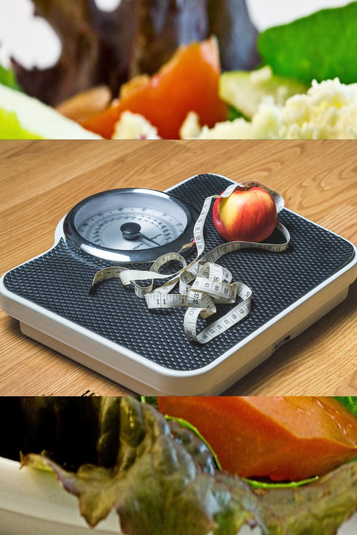 South beach diet mini-course! Low carb diet and weight loss plan