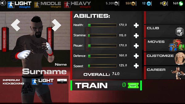 MMA Fighting and UFC Champions Simulator — 13
