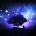 N.E.R.O.: Nothing Ever Remains Obscure