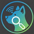 DigDog - Domain Intelligence Tool