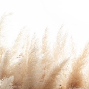 Soft Plants Background