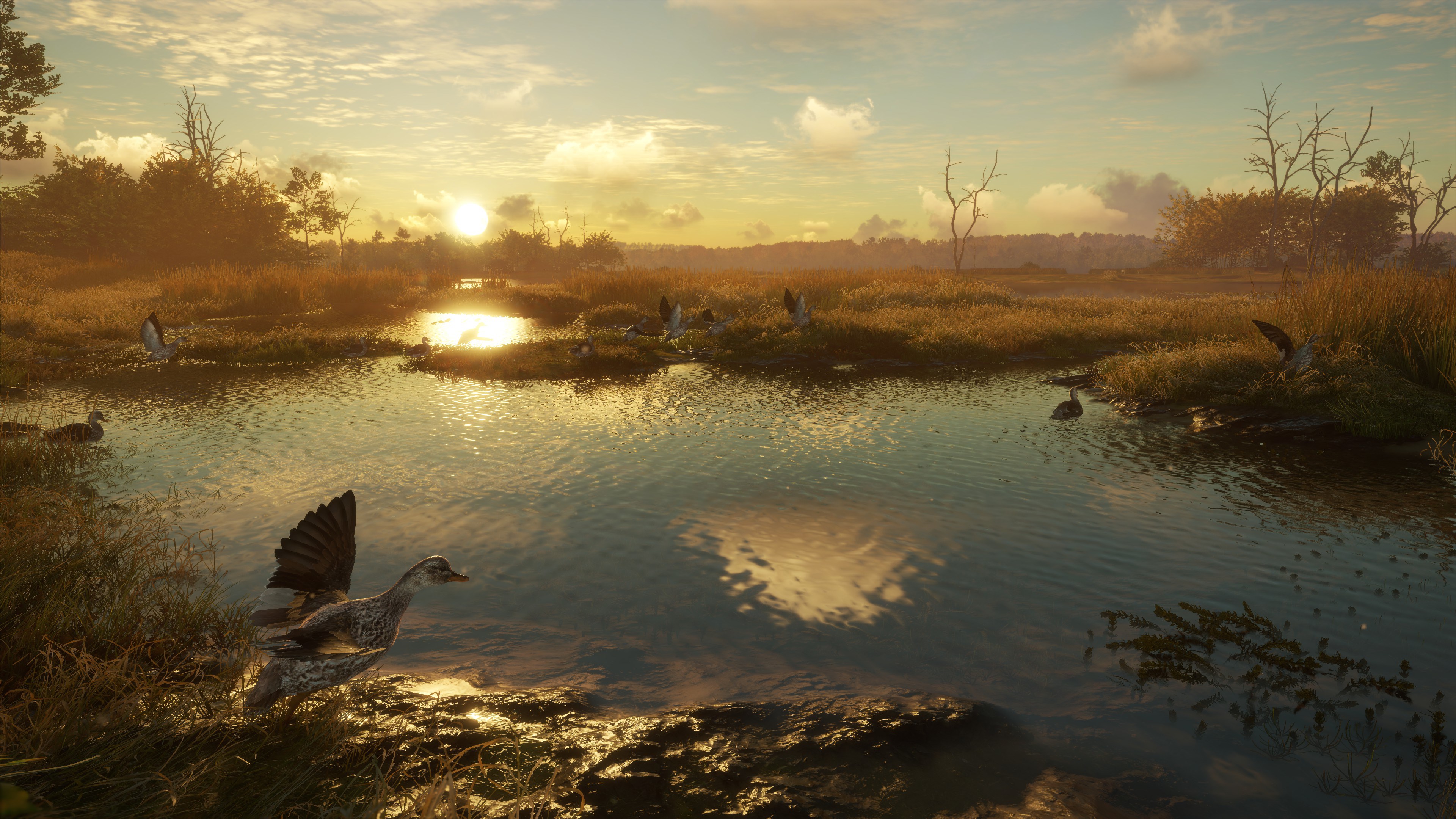 theHunter: Call of the Wild™ - Salzwiesen Park - Windows10 | Xbox | Chiave | Privato