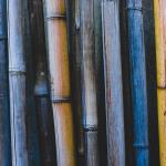 World of Bamboo PREMIUM