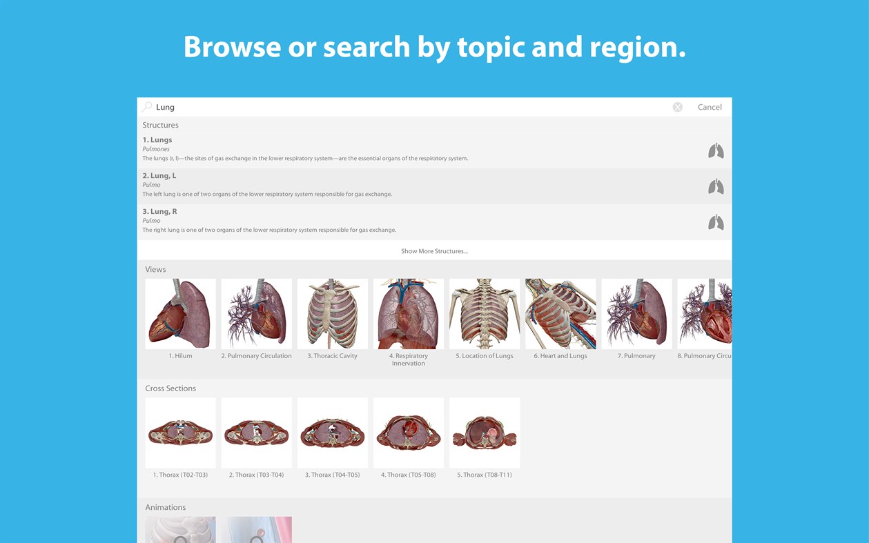 #4. Human Anatomy Atlas 2025: Complete 3D Human Body (Windows) By: Visible Body