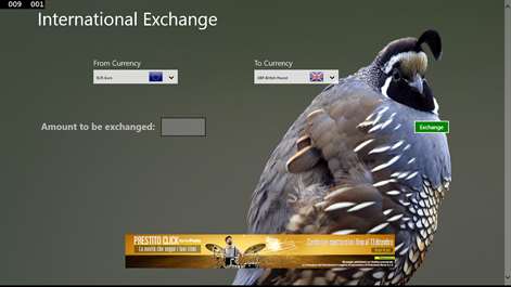 International Exchange Screenshots 2