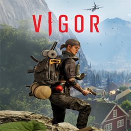 Aperçu Vigor