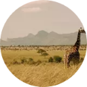 Uganda Wallpaper New Tab icon