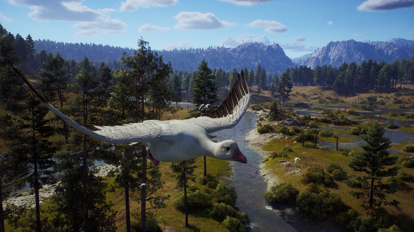 #8. Way of the Hunter: Elite Edition (Xbox) Door: THQ Nordic