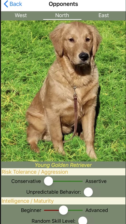 #3. K9 Shanghai Rum (Windows) 由: King9 Games