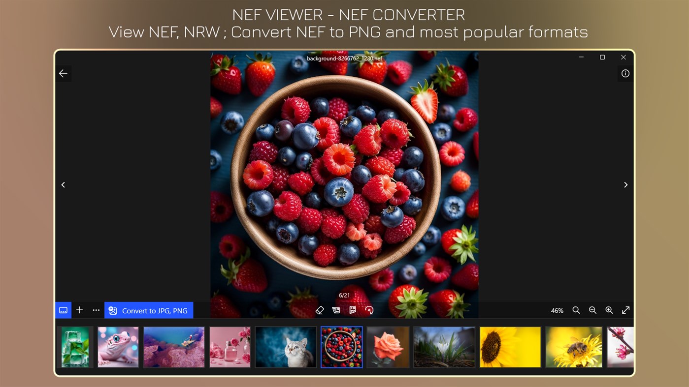 #1. NEF Viewer+ - NEF to JPG (Windows) بواسطة: IO Vision