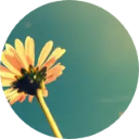 Vintage Wallpaper New Tab icon