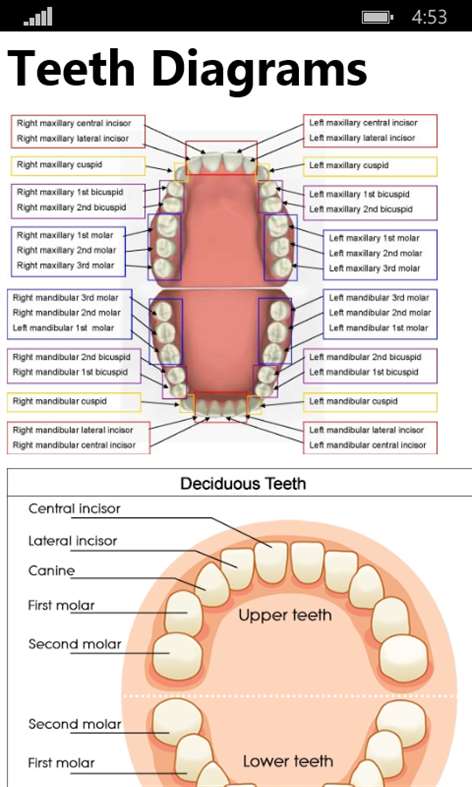 Human Anatomy 2017 Screenshots 2