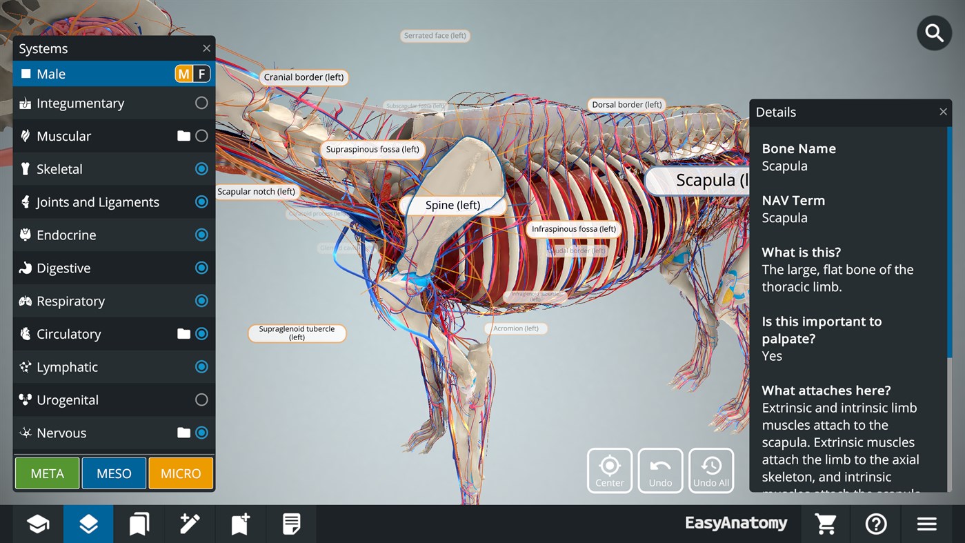 #5. EasyAnatomy - 3D Canine Anatomy (Windows) Podle: LlamaZOO Interactive Inc.